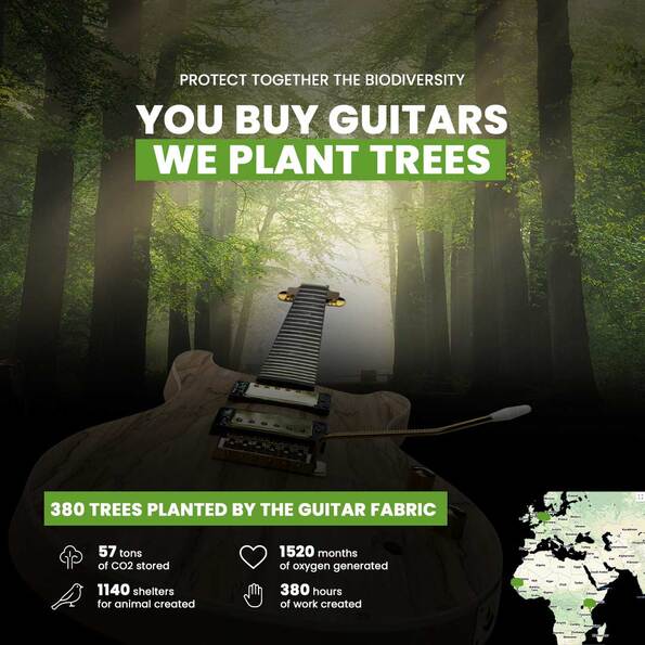You buy, we plant trees
