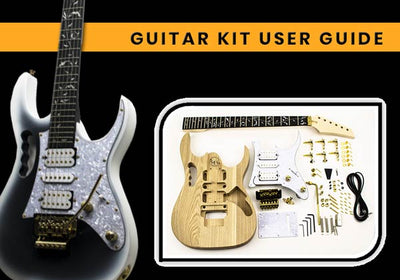 JEM IBANEZ guitar build from Rickenbacker guitar kit