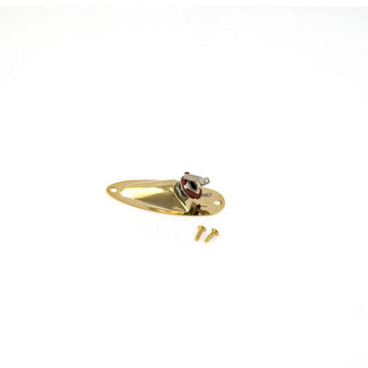 Gold Strat jack socket with mounting plate and two included screws, top view