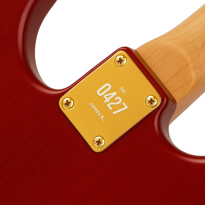 Gold neck plate engraved with a vintage style serial number on a guitar back